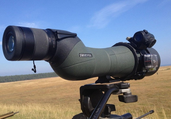 aci_swaro.jpg aci_swaro.jpg